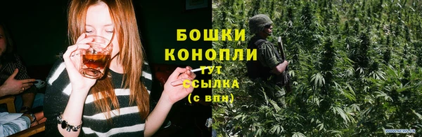 МДПВ Семилуки