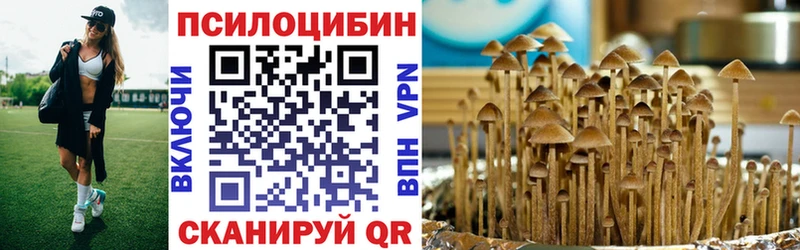 Псилоцибиновые грибы мицелий  Купить закладки  Тавда 