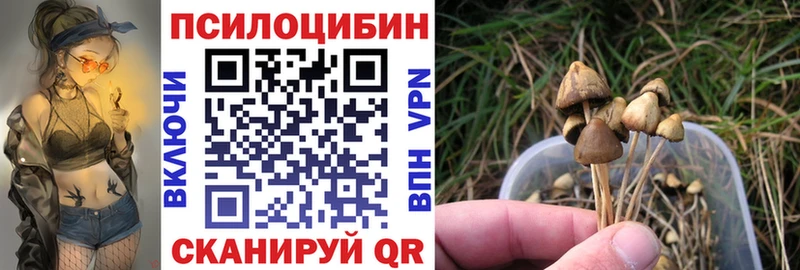 Галлюциногенные грибы Cubensis Тавда